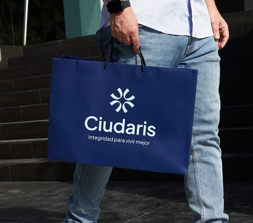 Dobano Proyecto Ciudaris